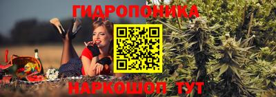 ПСИЛОЦИБИНОВЫЕ ГРИБЫ Краснознаменск