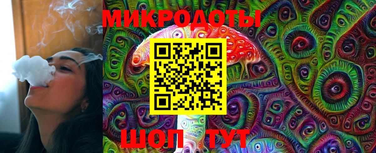 Галлюциногенные грибы Psilocybe Златоуст