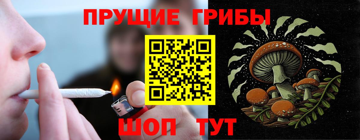 Галлюциногенные грибы мухоморы  Псилоцибиновые грибы GOLDEN TEACHER  Вход с VPN  Златоуст 